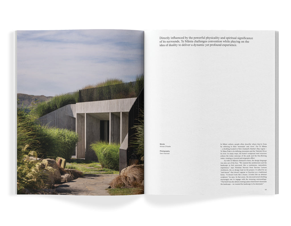 The Local Project - Issue No. 18